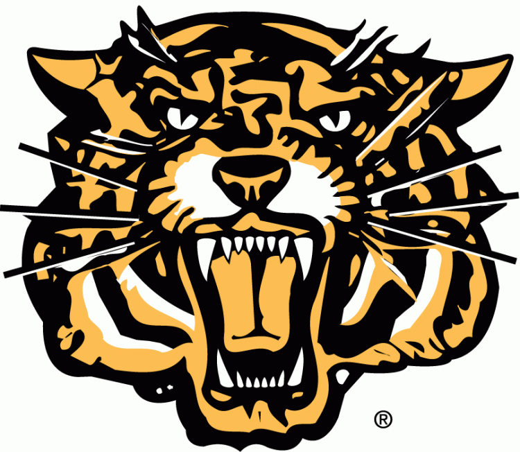 Hamilton Tiger-Cats 1999-2004 Secondary Logo vinyl decal